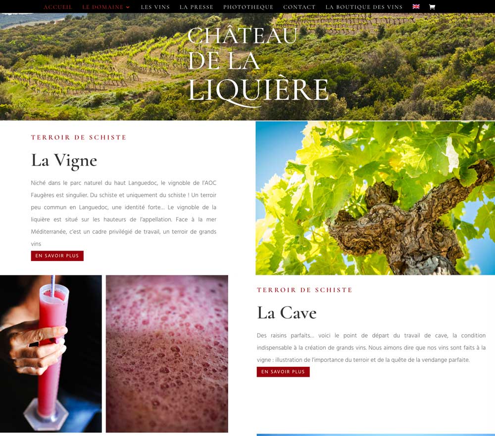 réalisation site Internet vigneron